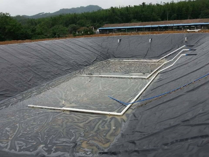 化粪池防渗膜